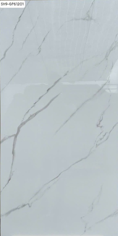 Viglacera - SH9-GP61201