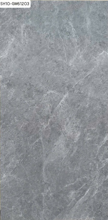 Viglacera - SH10-GM61203