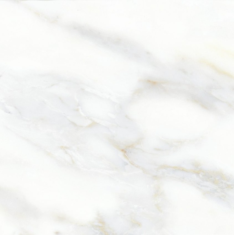 Đồng Tâm - 3060GECKO009