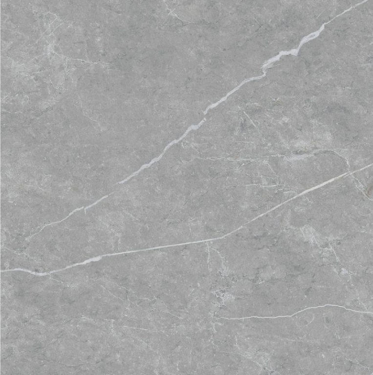 Đồng Tâm - 3060GECKO011