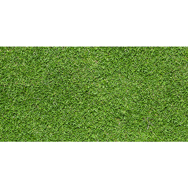 Đồng Tâm - 3060GREENERY001