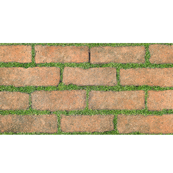 Đồng Tâm - 3060GREENERY008