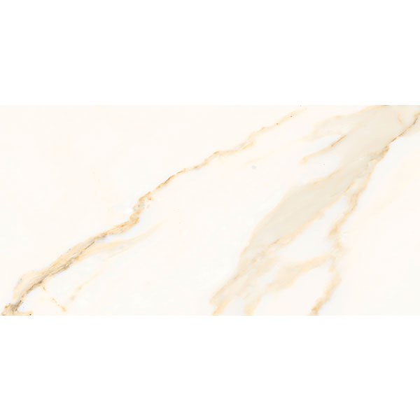 Đồng Tâm - 4080 REGAL 005 - H+