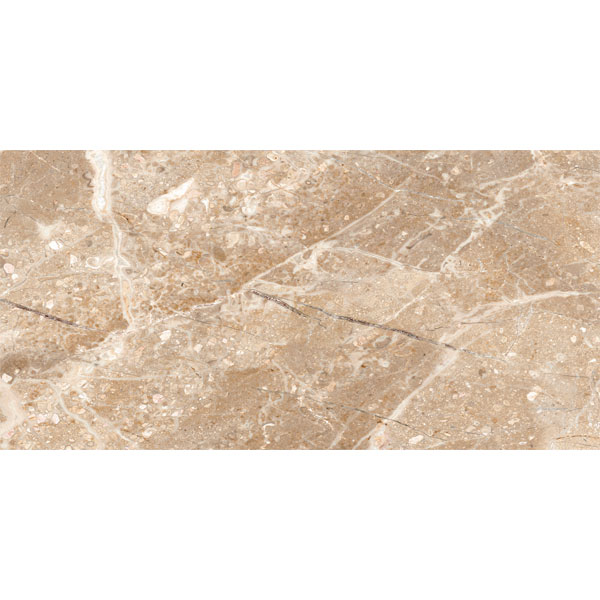 Đồng Tâm - 4080 REGAL 006 - H+