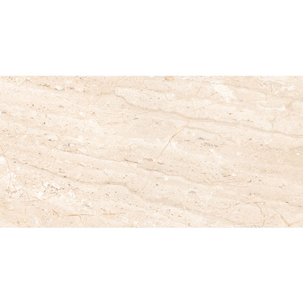 Đồng Tâm - 4080 REGAL 007 - H+