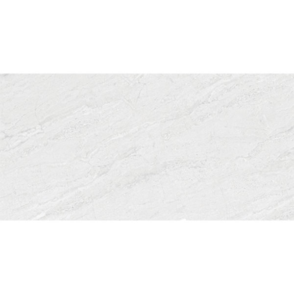 Đồng Tâm - 4080 REGAL 014 - H+