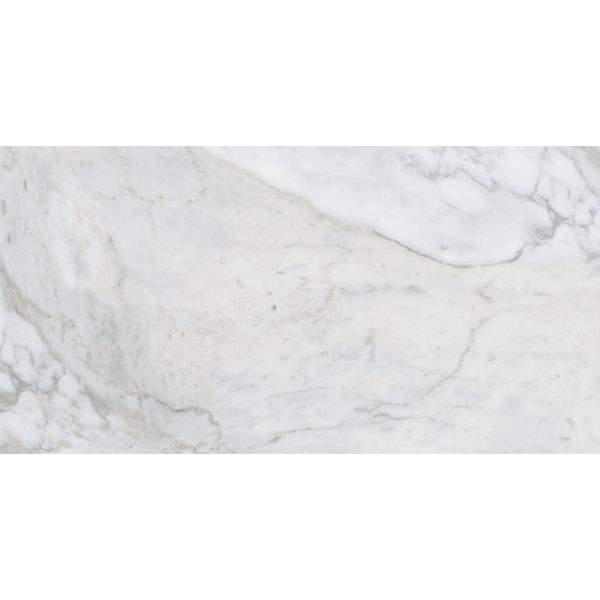 Đồng Tâm - 4080 REGAL 016 - H+