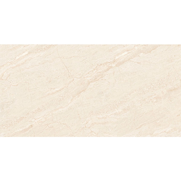 Đồng Tâm - 4080 REGAL 018 - H+