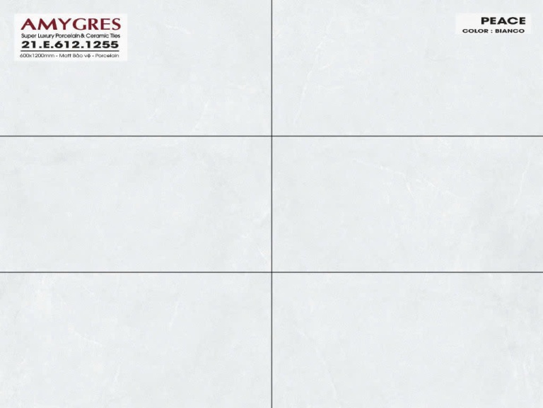 Á Mỹ - 21.E.612.1255