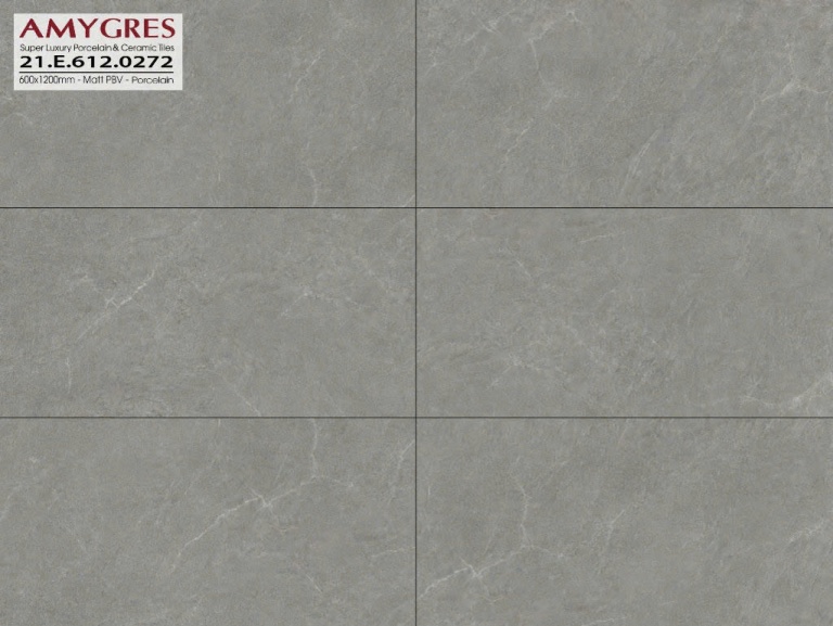 Á Mỹ - 21.E.612.0272