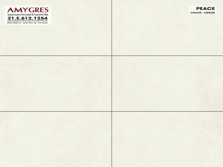 Á Mỹ - 21.E.612.1254