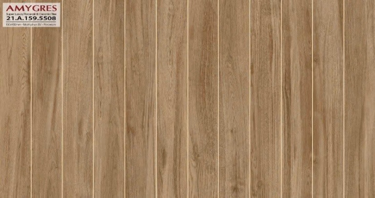 Á Mỹ - 21.A.159.5508