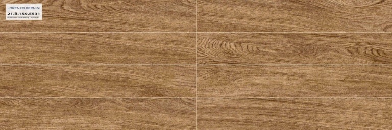 Á Mỹ - 21.B.159.5531